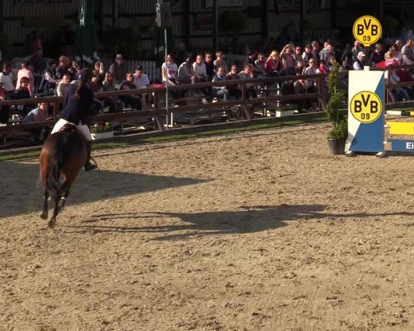 Reitturnier Kirchhellen/Stall Dieckmann 2019