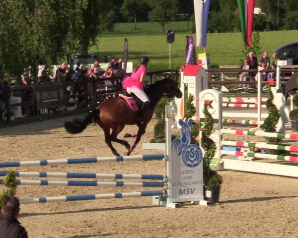 Reitturnier Kirchhellen/Stall Dieckmann 2019