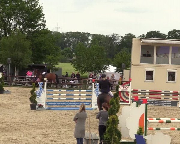 Reitturnier Kirchhellen/Stall Dieckmann 2019