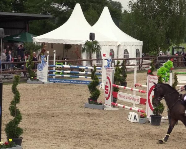 Reitturnier Kirchhellen/Stall Dieckmann 2019