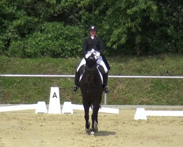 Reitturnier Ladenburg 2019