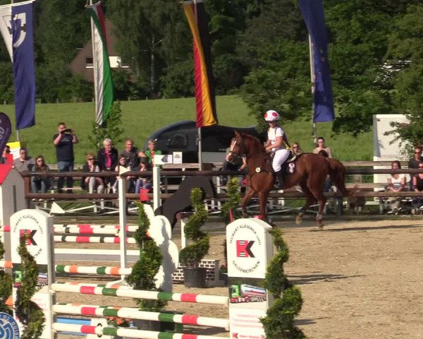 Reitturnier Kirchhellen/Stall Dieckmann 2019
