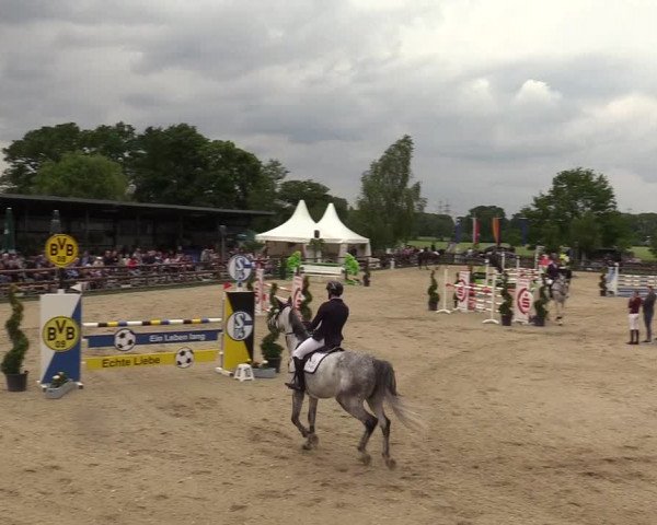 Reitturnier Kirchhellen/Stall Dieckmann 2019