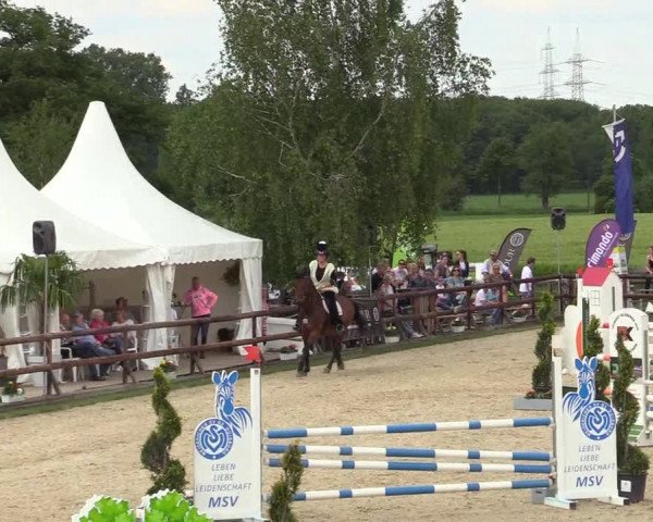 Reitturnier Kirchhellen/Stall Dieckmann 2019