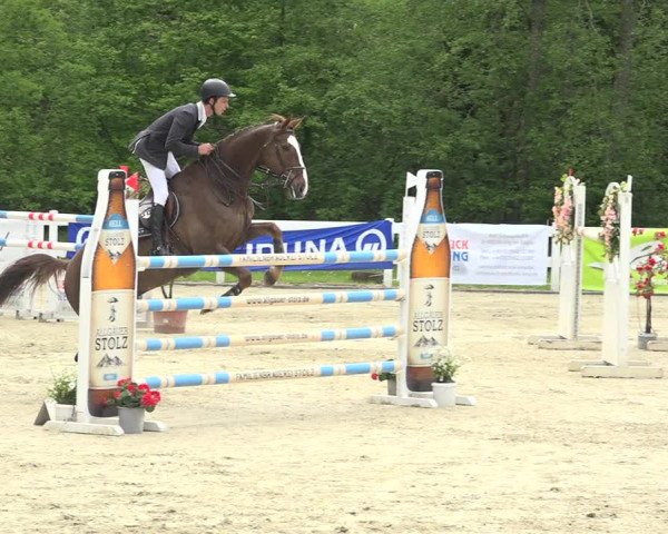 Reitturnier Isny-Rohrdorf 2019