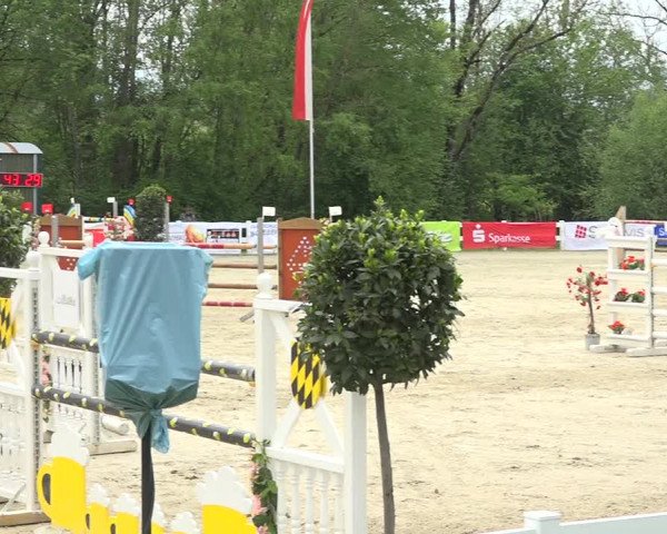 Reitturnier Isny-Rohrdorf 2019