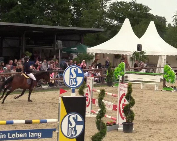 Reitturnier Kirchhellen/Stall Dieckmann 2019