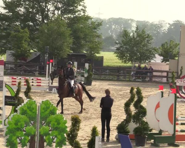 Reitturnier Kirchhellen/Stall Dieckmann 2019