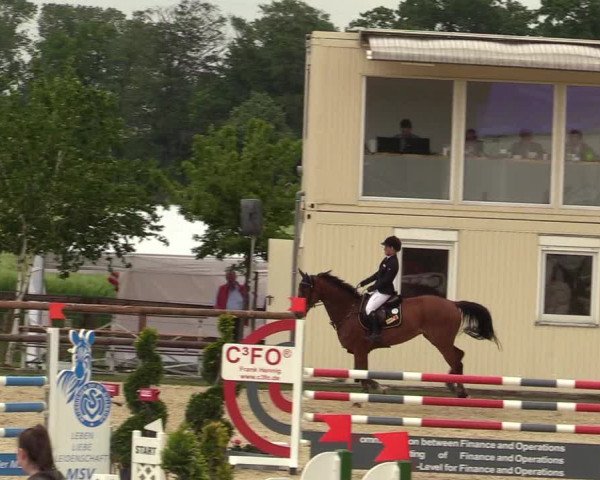 Reitturnier Kirchhellen/Stall Dieckmann 2019