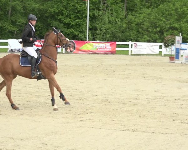Reitturnier Isny-Rohrdorf 2019