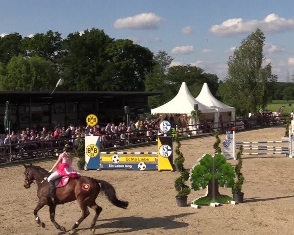 Reitturnier Kirchhellen/Stall Dieckmann 2019