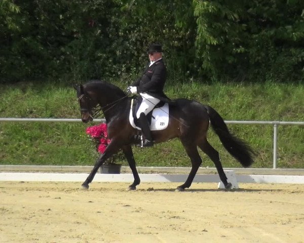 Reitturnier Ladenburg 2019