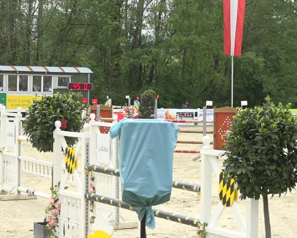 Reitturnier Isny-Rohrdorf 2019