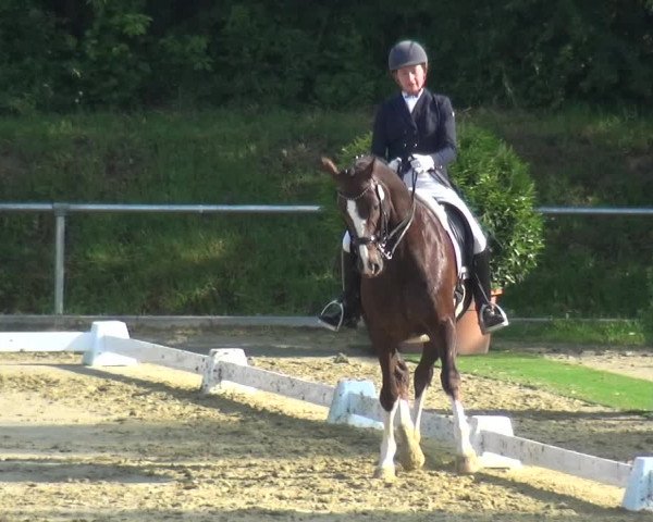 Reitturnier Ladenburg 2019