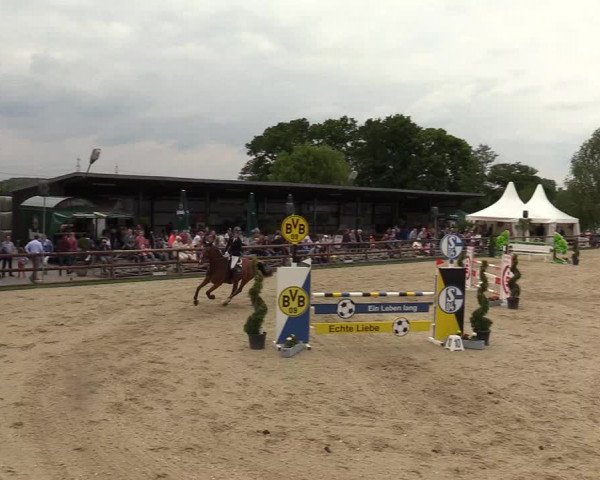 Reitturnier Kirchhellen/Stall Dieckmann 2019