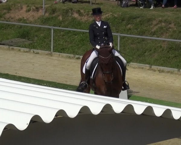 Reitturnier Ladenburg 2019