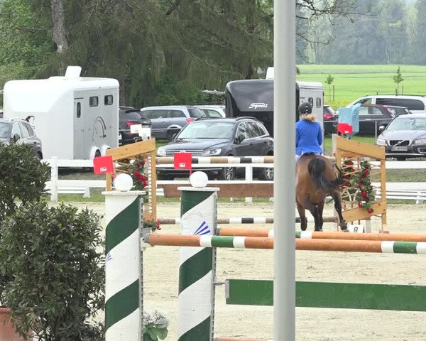 Reitturnier Isny-Rohrdorf 2019