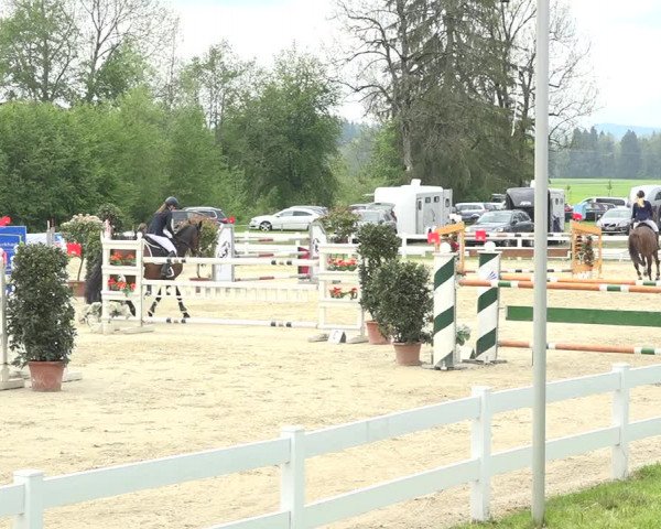 Reitturnier Isny-Rohrdorf 2019