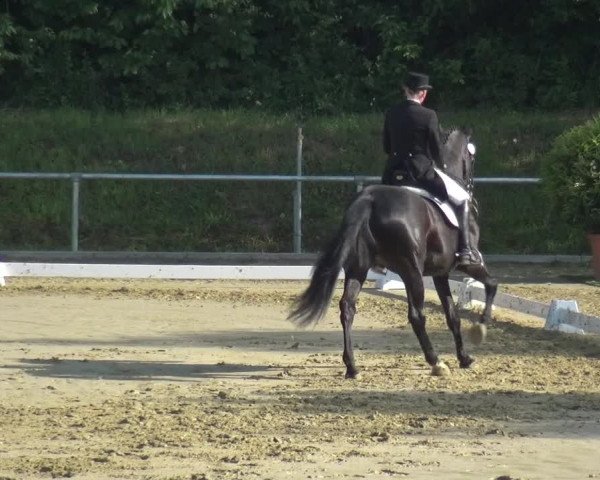 Reitturnier Ladenburg 2019