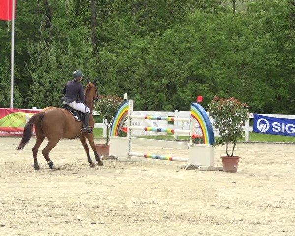 Reitturnier Isny-Rohrdorf 2019