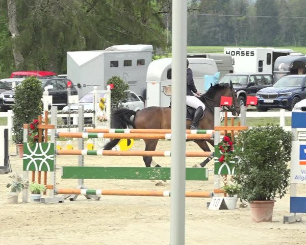 Reitturnier Isny-Rohrdorf 2019