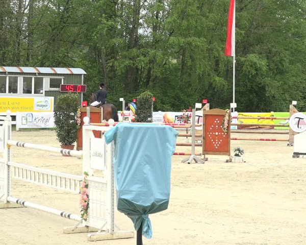 Reitturnier Isny-Rohrdorf 2019