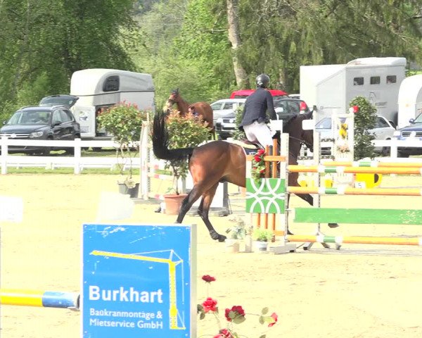 Reitturnier Isny-Rohrdorf 2019