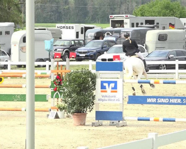 Reitturnier Isny-Rohrdorf 2019