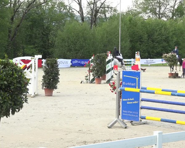 Reitturnier Isny-Rohrdorf 2019
