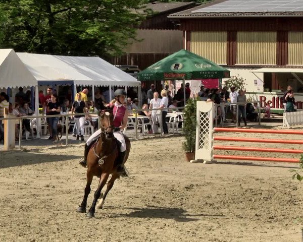 Reitturnier Herxheim 2019