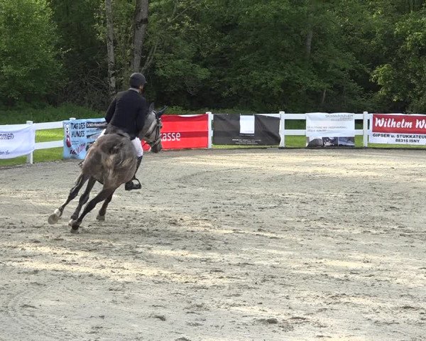 Reitturnier Isny-Rohrdorf 2019