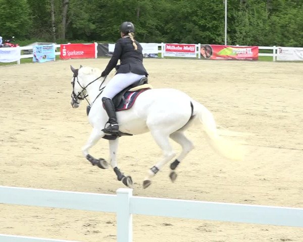 Reitturnier Isny-Rohrdorf 2019