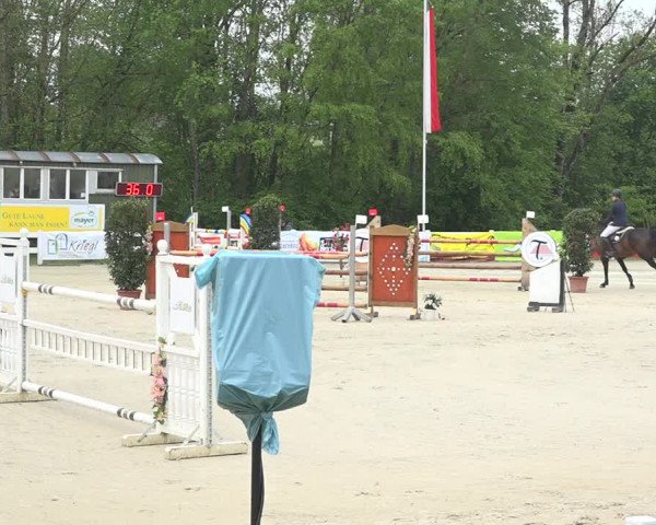 Reitturnier Isny-Rohrdorf 2019