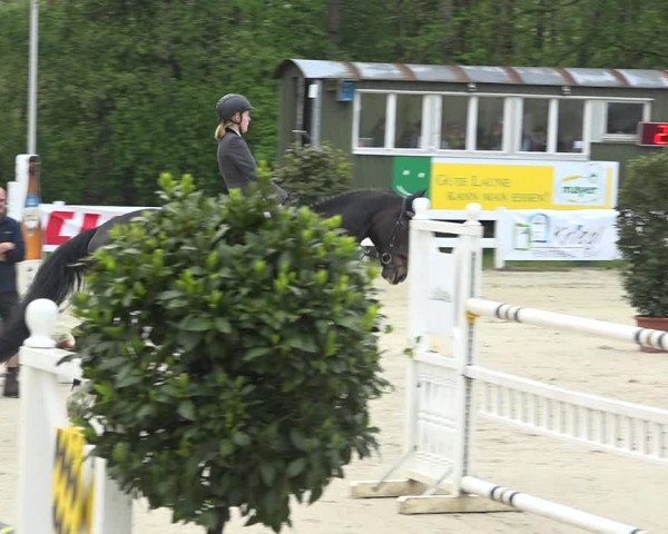 Reitturnier Isny-Rohrdorf 2019