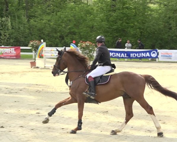 Reitturnier Isny-Rohrdorf 2019