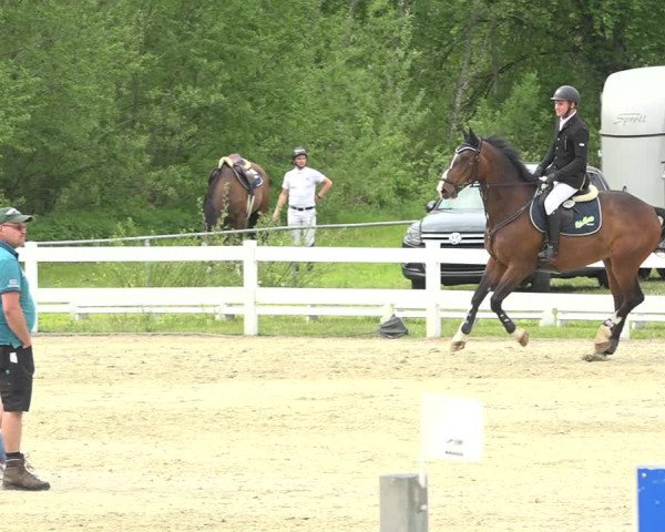 Reitturnier Isny-Rohrdorf 2019