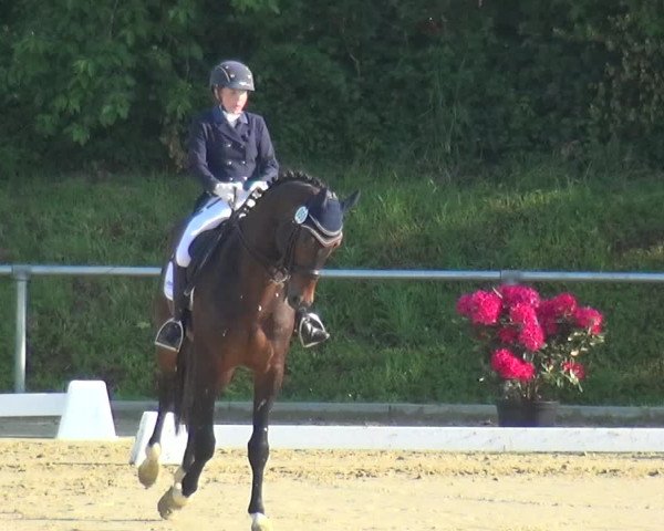 Reitturnier Ladenburg 2019