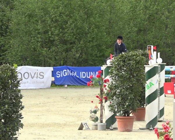 Reitturnier Isny-Rohrdorf 2019