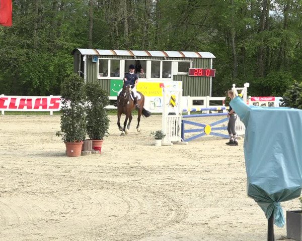 Reitturnier Isny-Rohrdorf 2019