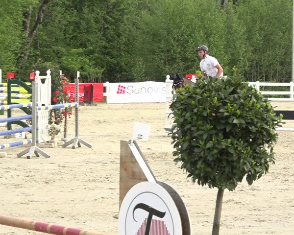 Reitturnier Isny-Rohrdorf 2019