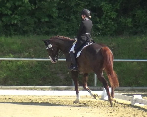 Reitturnier Ladenburg 2019