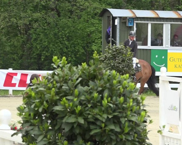 Reitturnier Isny-Rohrdorf 2019