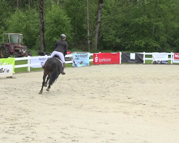 Reitturnier Isny-Rohrdorf 2019