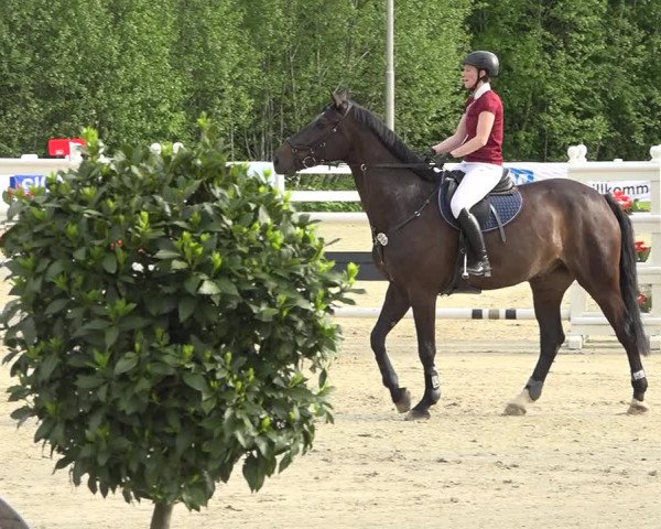 Reitturnier Isny-Rohrdorf 2019