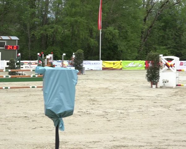 Reitturnier Isny-Rohrdorf 2019