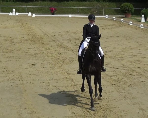 Reitturnier Ladenburg 2019