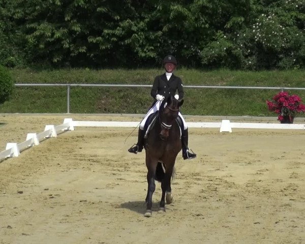 Reitturnier Ladenburg 2019
