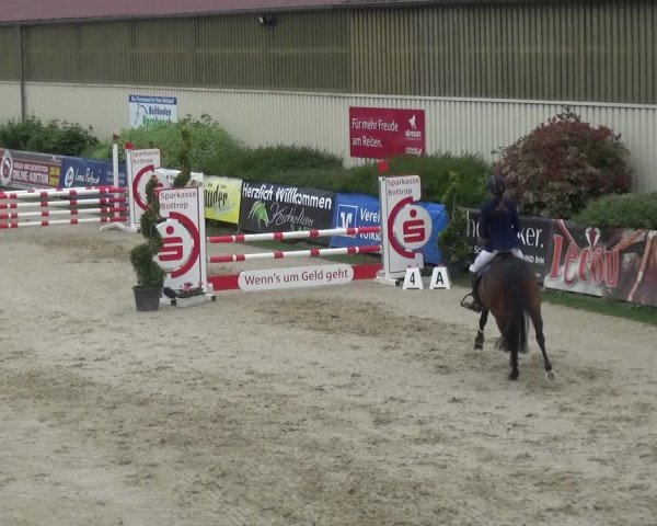 Reitturnier Kirchhellen/Stall Dieckmann 2019
