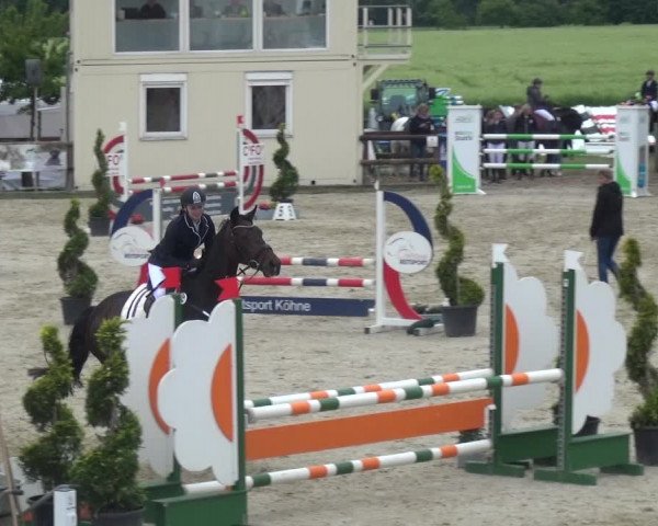 Reitturnier Kirchhellen/Stall Dieckmann 2019