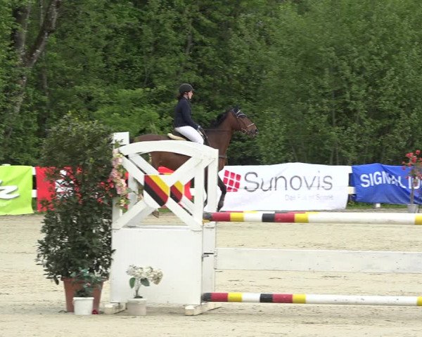 Reitturnier Isny-Rohrdorf 2019